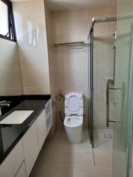 Sommerville Park (D10), Condominium #565620851